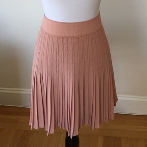 J Crew Blush Pleated Lattice Skirt - Size 6